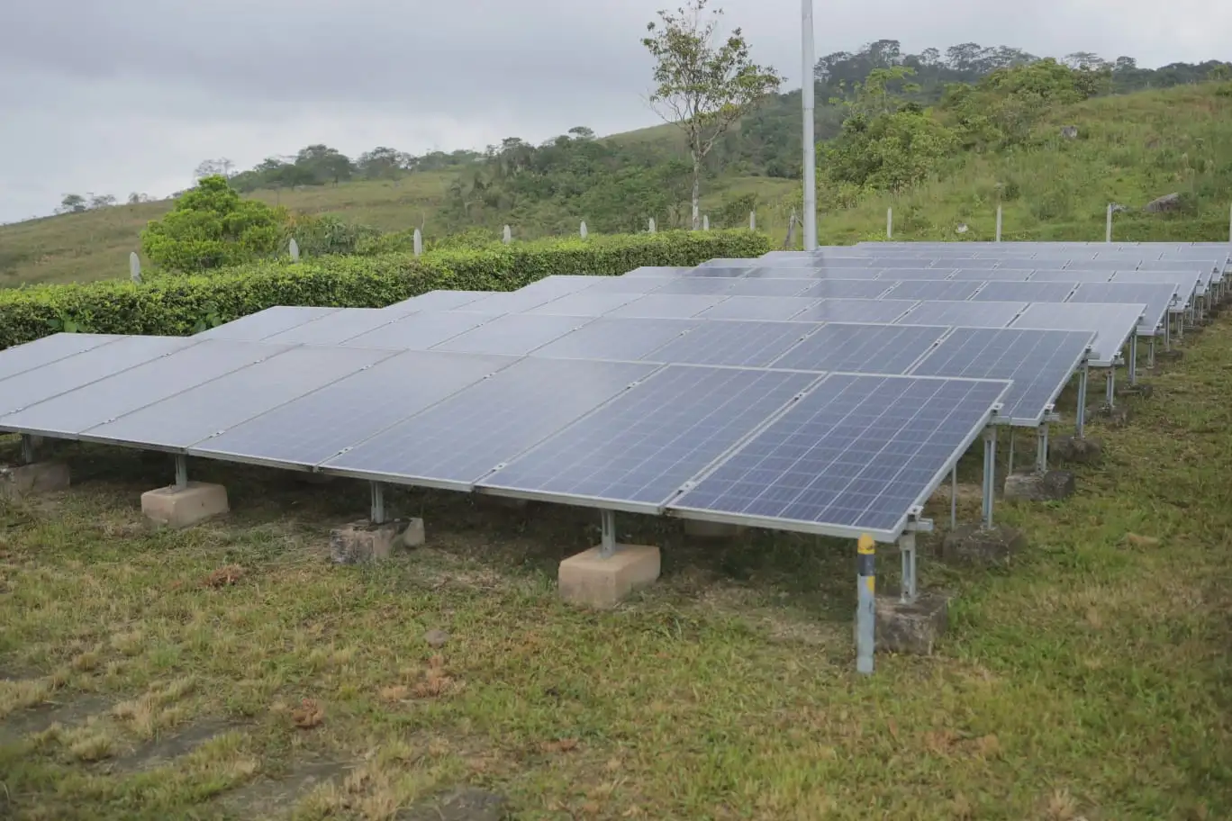 Paneles solares siendo limpiados de suciedad